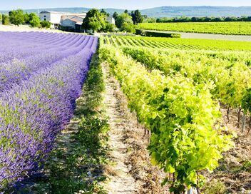 Les reportages de la rédaction