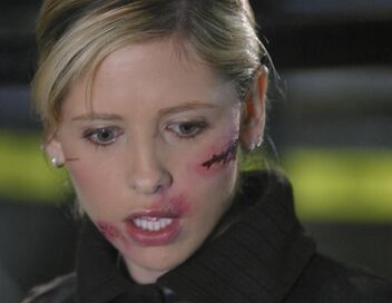 Buffy contre les vampires
