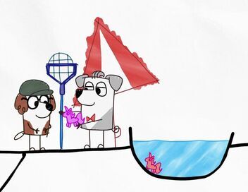 Bluey Minisodes