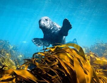 Les îles irlandaises, avant-postes de l'océan