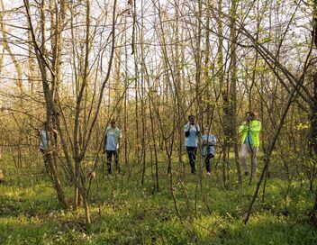 Enquêtes criminelles