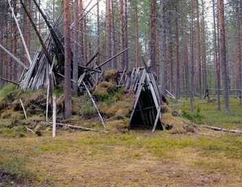 La tribu et le gourou : Gaïaland
