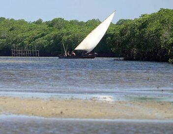 Invitation au voyage