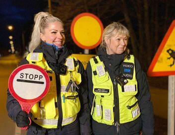Estonie, au secours des grenouilles