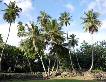 Invitation au voyage