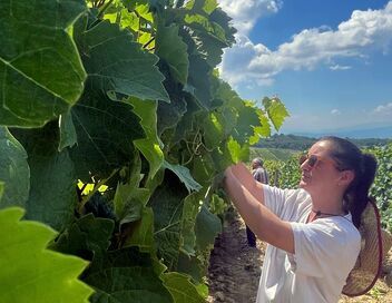 Kosovo, les nouveaux bouilleurs de cru