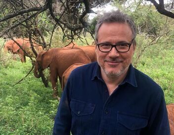 Des trains pas comme les autres