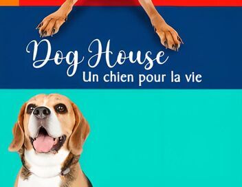 Dog House : un chien pour la vie