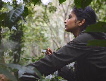 La nature, l'art et nous