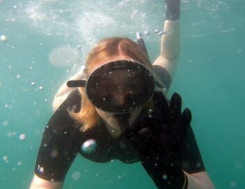 Alexia cuisine la France