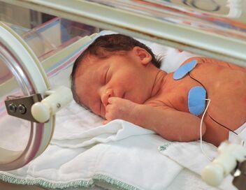 Baby boom