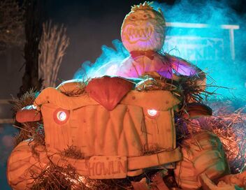 Incroyables citrouilles