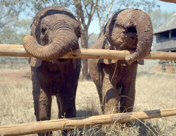 L'Afrique vue du ciel