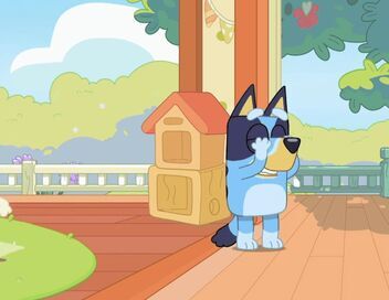 Bluey