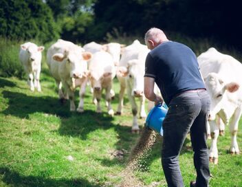 L'amour est dans le pré