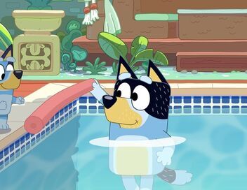 Bluey