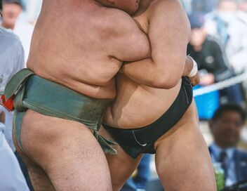 Sumo : Tournoi de Paris