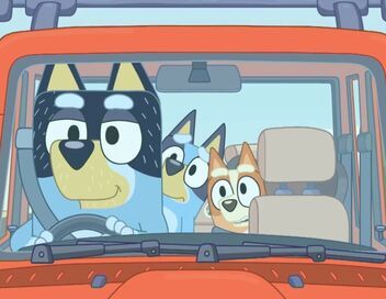 Bluey