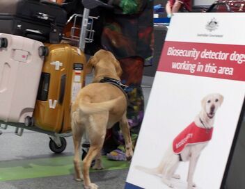 Douanes sous haute surveillance