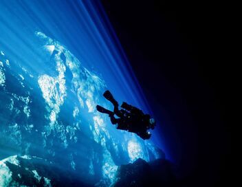 Afrique : Sur la piste des premiers hommes