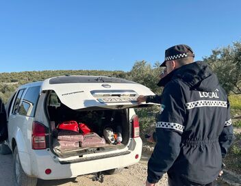 Vols d'olives : les producteurs en colère
