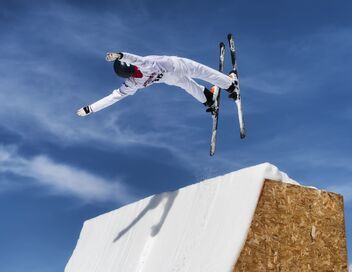 Ski freestyle : avant-course