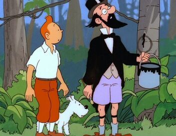 Les aventures de Tintin