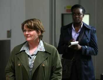 Les enquêtes de Vera