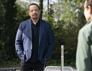 New York Unité Spéciale