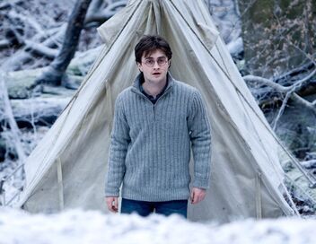 Harry Potter et les Reliques de la mort : 1re partie