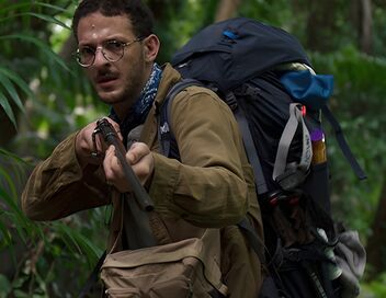 Terrible jungle