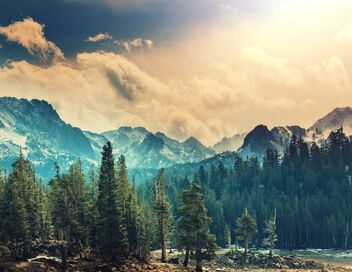 Voyage dans le Grand Ouest américain