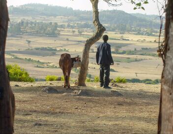 Alazar