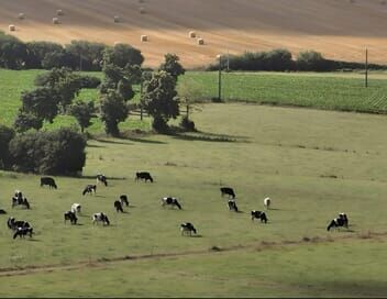 Vache folle, la Bretagne au coeur de la crise