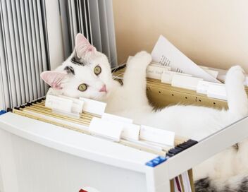 Les 100 vidéos qui ont fait rire le monde entier