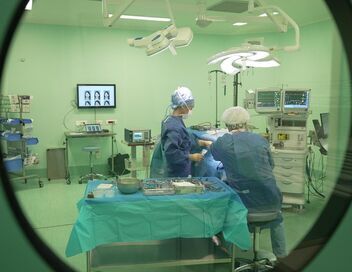 Chirurgie esthétique : nouveau corps pour une nouvelle vie