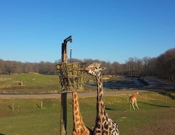 100 jours avec les animaux du Zoo Sigean