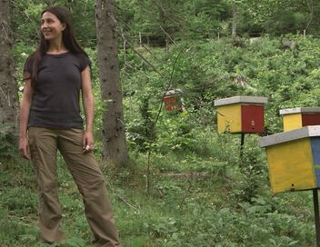 Les maîtres des abeilles