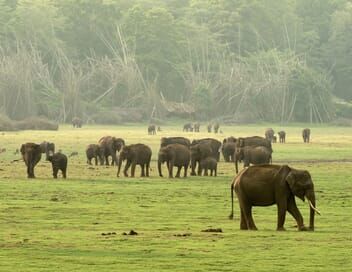 L'Inde sauvage