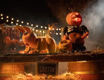 Incroyables citrouilles