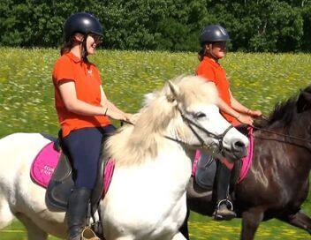 Au galop ! Une saison à cheval