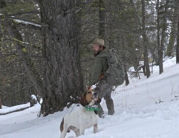 Seuls face à l'Alaska