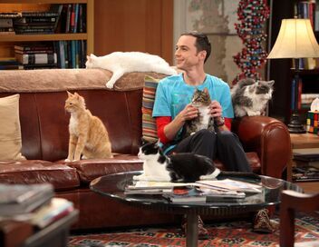 The Big Bang Theory