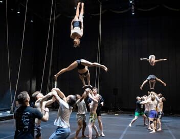 Gravity & Other Myths : Une troupe défiant les lois de la gravité