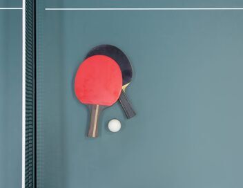 Tennis de table : WTT Champions de Macao