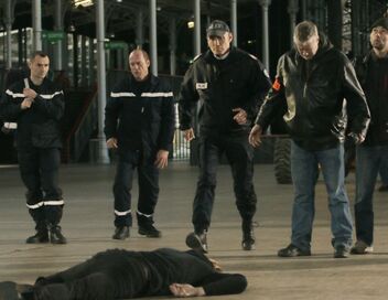 Profilage