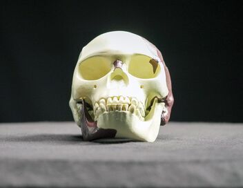 Fraudes et mensonges scientifiques