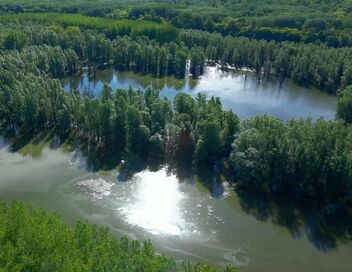 Au coeur de l'Amazonie européenne
