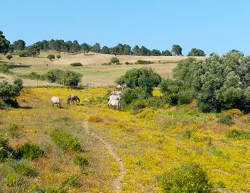 Les parcs naturels portugais