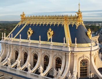 Des racines et des ailes